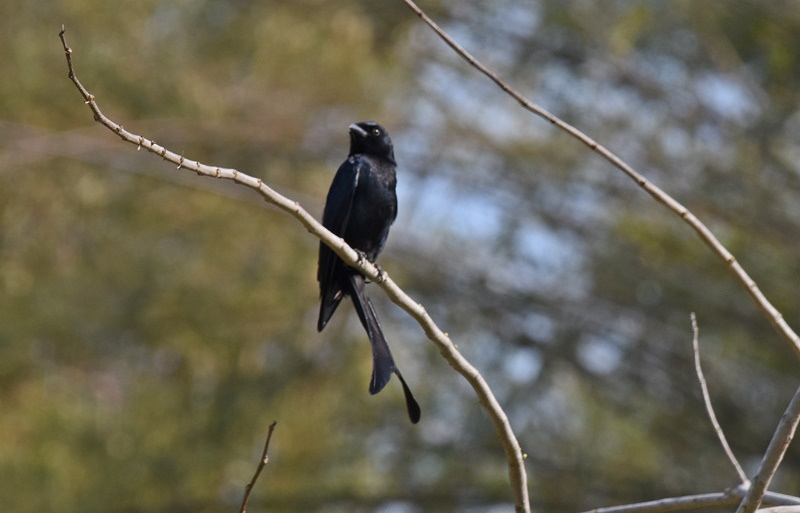 DSC_0489.JPG DSC_0489.JPG