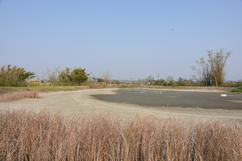 DSC_0513.JPG DSC_0513.JPG