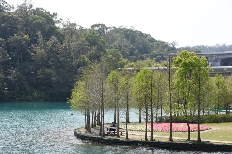 DSC_0715.JPG DSC_0715.JPG