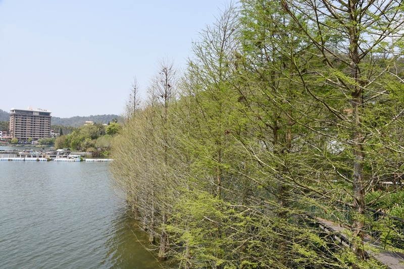 DSC_0755.JPG DSC_0755.JPG
