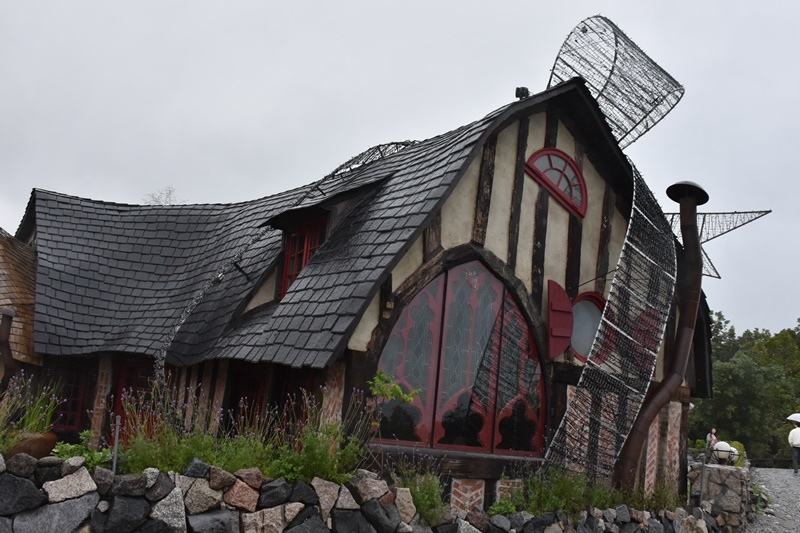 DSC_1293.JPG DSC_1293.JPG