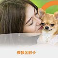 王道銀行簽帳金融卡｜不想辦信用卡的替代選擇