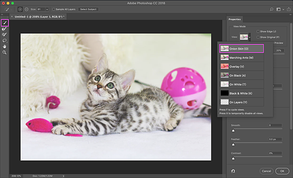 Photoshop選取並遮住-2-描圖紙模式.png Photoshop選取並遮住-2-描圖紙模式.png