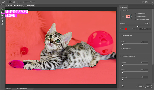 Photoshop選取並遮住-6-調整邊緣筆刷工具.png Photoshop選取並遮住-6-調整邊緣筆刷工具.png