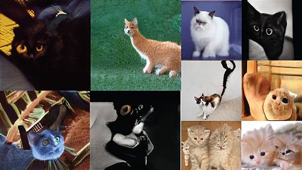 AI-StyleGEN-cats.jpg AI-StyleGEN-cats.jpg