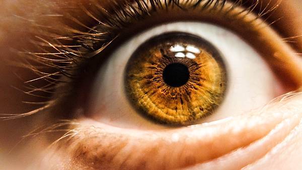 ai-retina-care-2.jpg ai-retina-care-2.jpg