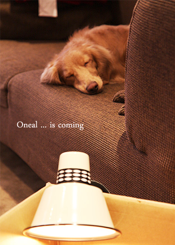 oneal is comimg-01.jpg oneal is comimg-01.jpg