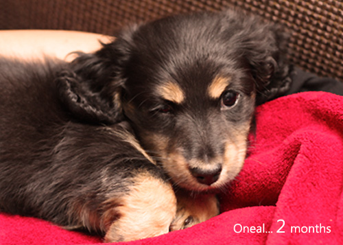 Oneal2months-01.jpg