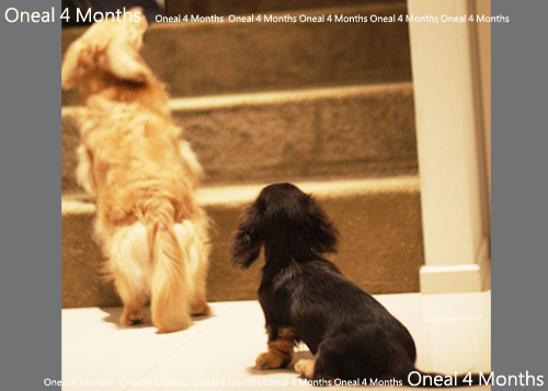 oneal4months-1.jpg oneal4months-1.jpg