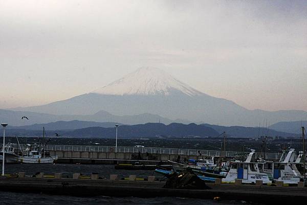 富士山