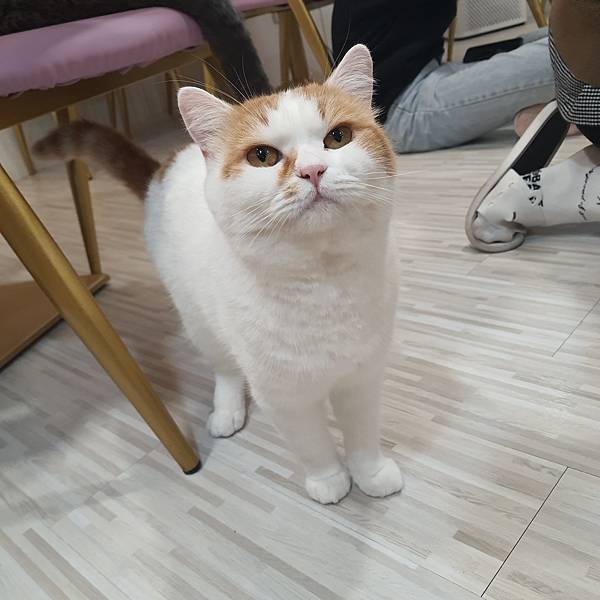 20211113_154501.jpg 20211113_154501.jpg