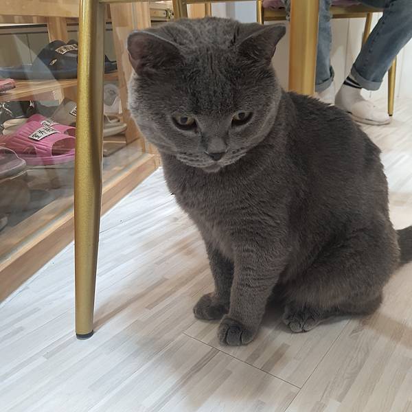 20211113_150902.jpg 20211113_150902.jpg