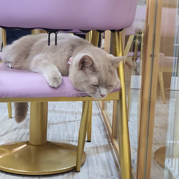 20211113_151003.jpg 20211113_151003.jpg