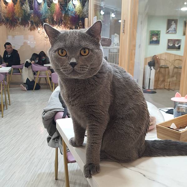 20211113_152940.jpg 20211113_152940.jpg