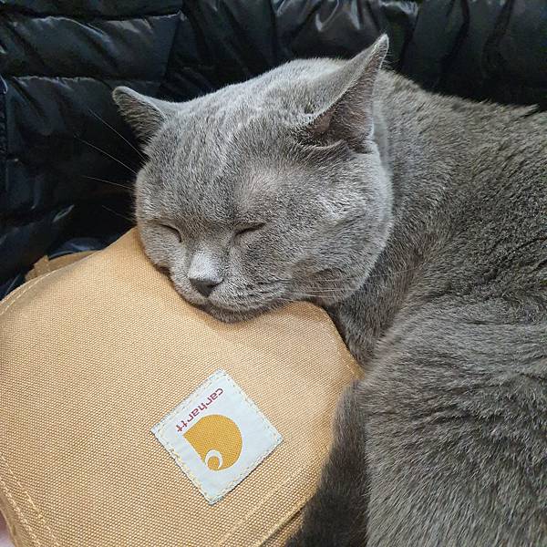 20211113_152557.jpg 20211113_152557.jpg