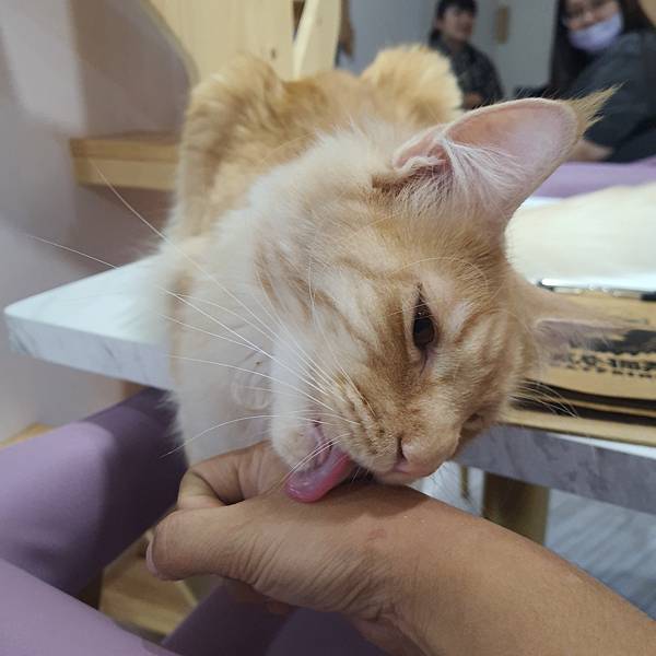 20211113_153005.jpg 20211113_153005.jpg