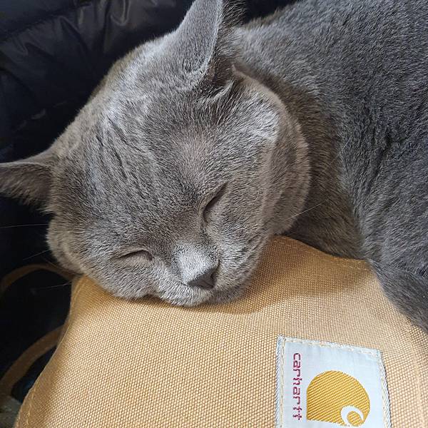 20211113_152603.jpg 20211113_152603.jpg