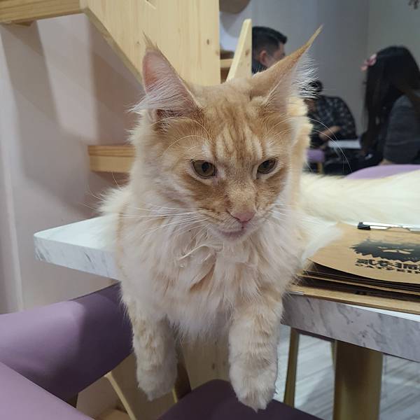 20211113_153014.jpg 20211113_153014.jpg