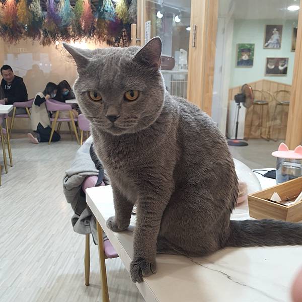 20211113_152942.jpg 20211113_152942.jpg