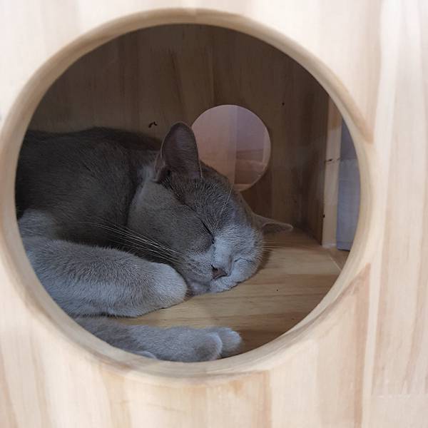 20211113_153055.jpg 20211113_153055.jpg