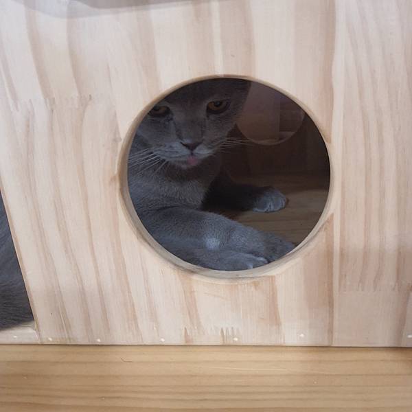 20211113_153127.jpg 20211113_153127.jpg