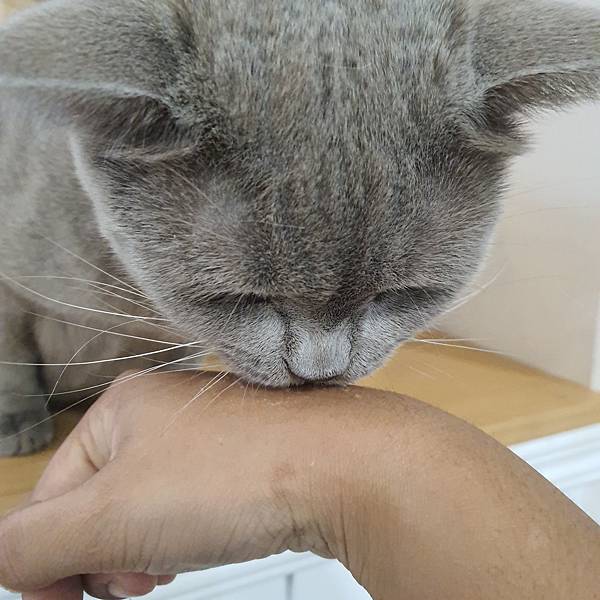 20211113_153141.jpg 20211113_153141.jpg