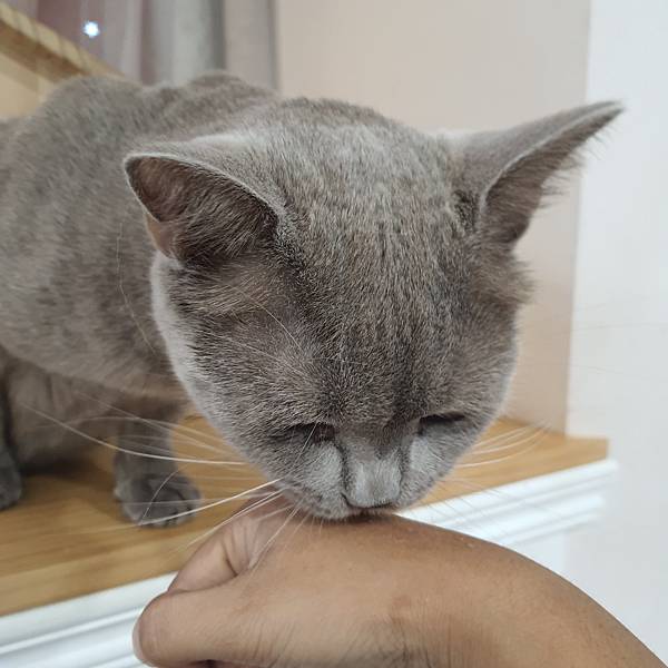 20211113_153144.jpg 20211113_153144.jpg