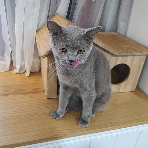 20211113_153213.jpg 20211113_153213.jpg