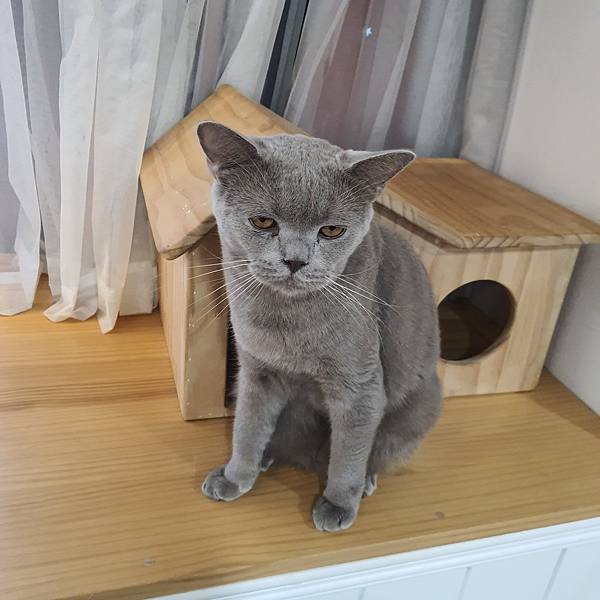 20211113_153214.jpg 20211113_153214.jpg