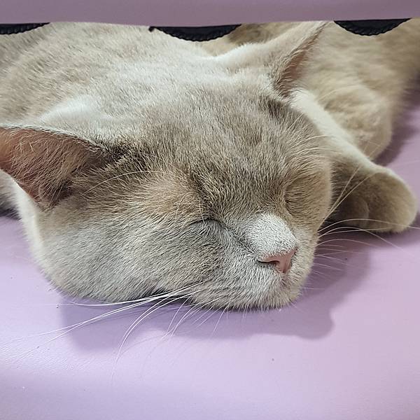 20211113_153437.jpg 20211113_153437.jpg