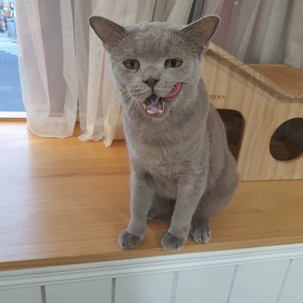 20211113_153255.jpg 20211113_153255.jpg