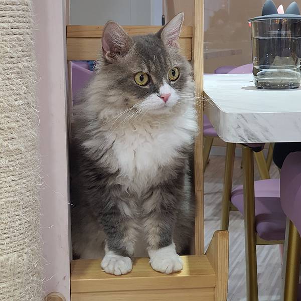 20211113_153511.jpg 20211113_153511.jpg