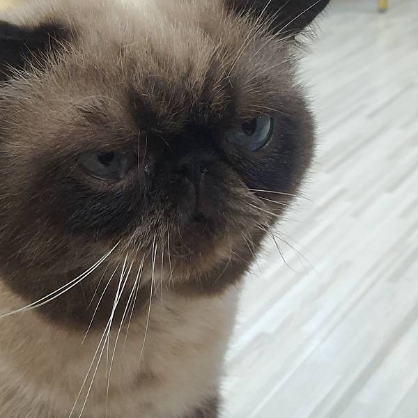 20211113_153811.jpg 20211113_153811.jpg