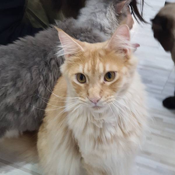 20211113_153546.jpg 20211113_153546.jpg