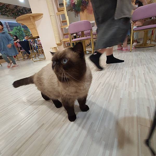 20211113_153814.jpg 20211113_153814.jpg