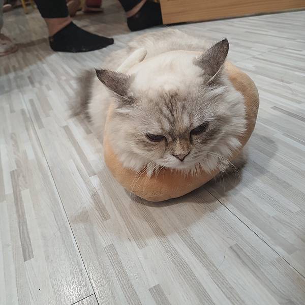 20211113_154240.jpg 20211113_154240.jpg