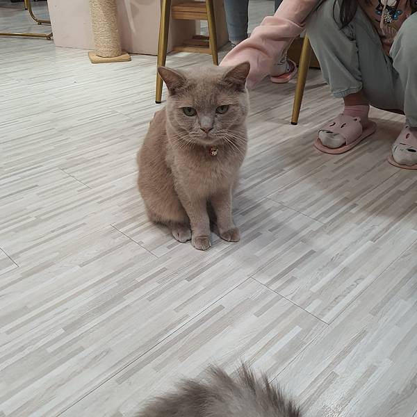 20211113_154244.jpg 20211113_154244.jpg