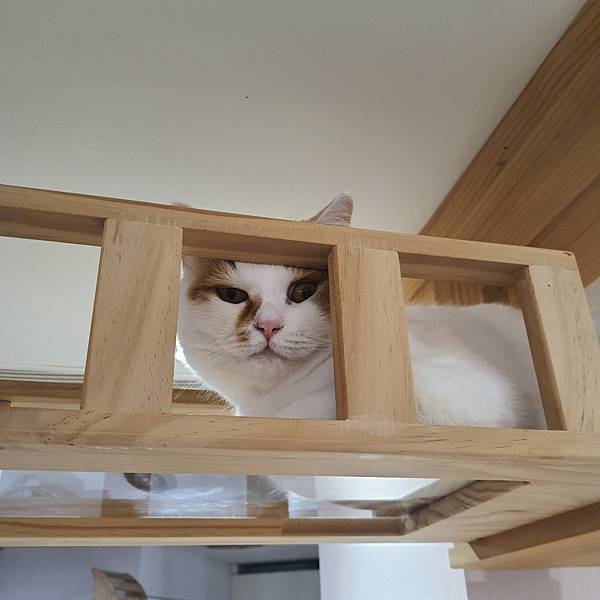 20211113_154313.jpg 20211113_154313.jpg