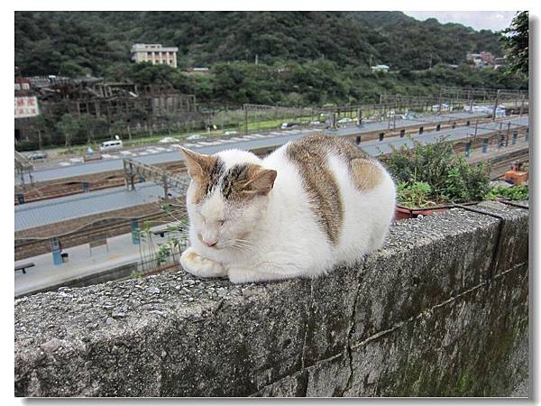 IMG_6959.jpg IMG_6959.jpg