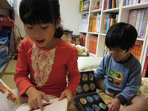 IMG_7013 (Large).JPG IMG_7013 (Large).JPG