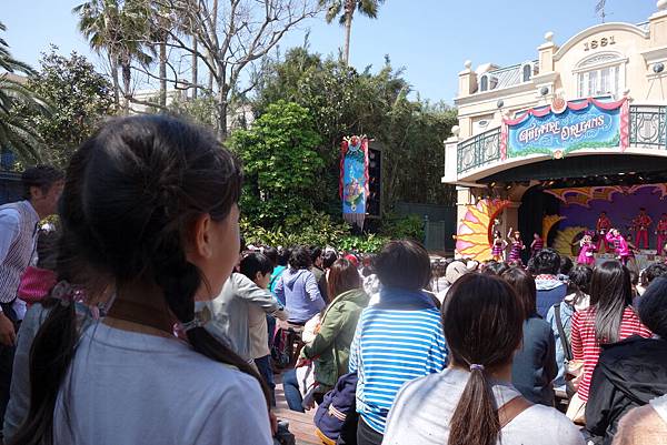 DSC04524 DSC04524