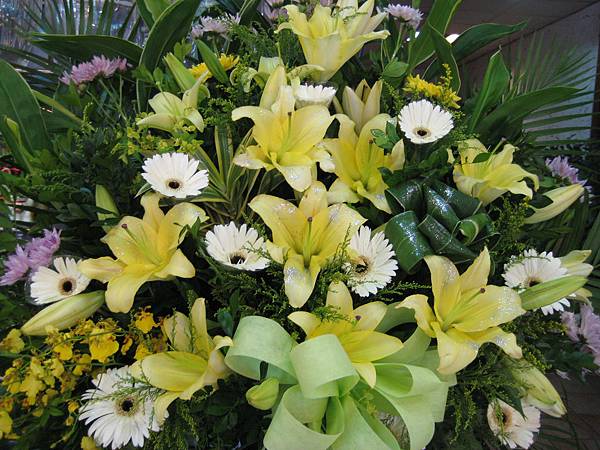 IMG_9545 IMG_9545