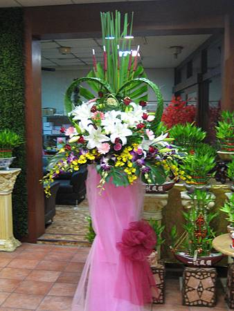 IMG_0124 IMG_0124