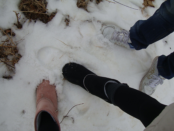 DSC06917.JPG DSC06917.JPG