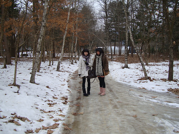 DSC06868.JPG DSC06868.JPG