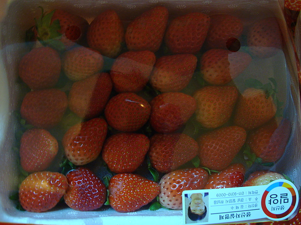 DSC07064.JPG DSC07064.JPG