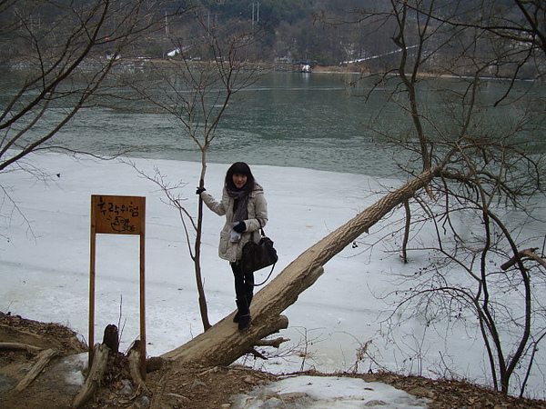 DSC06882.JPG DSC06882.JPG