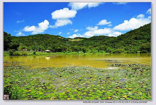 牡丹鄉 哭泣湖 東源森林 水上草原 野薑花季 阿凡端 私房景點 痞客邦