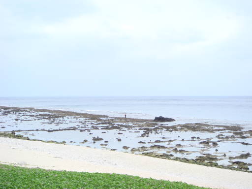 DSC05049.jpg DSC05049.jpg