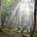 nEO_IMG_DSC_0061.jpg